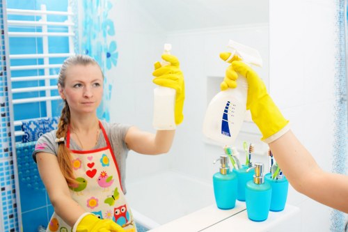 Domestic cleaner working in a SE19 home near Crystal Palace