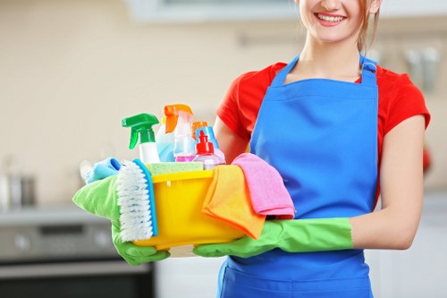 Professional cleaners working in a SE19 home interior