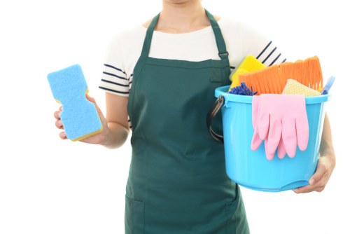 Local house cleaning service for homes in SE19
