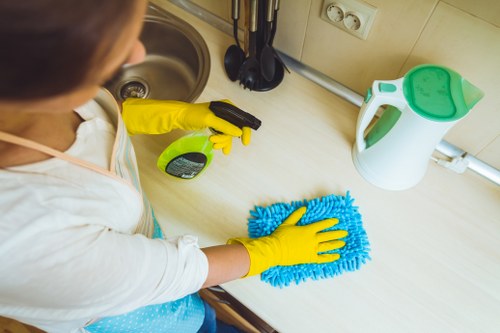 Deep cleaning oven racks and interior surfaces in SE19