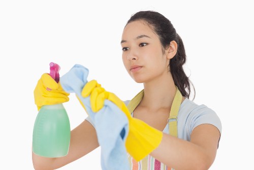Kitchen and bathroom domestic cleaning for SE19 households