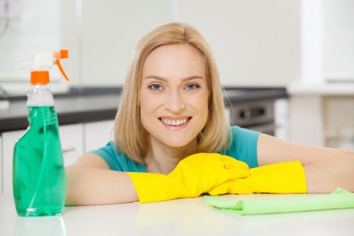 Assessing carpets before a deeper clean