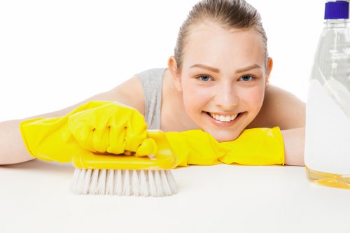 Cleaning support for flats and family homes in SE19