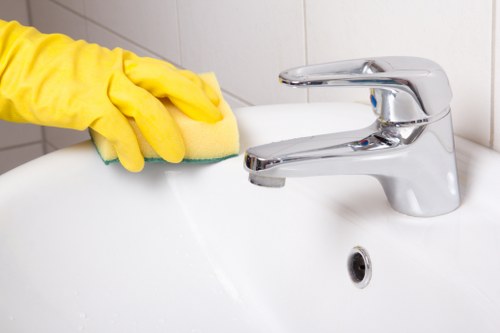 Professional domestic cleaning for a family home in SE19