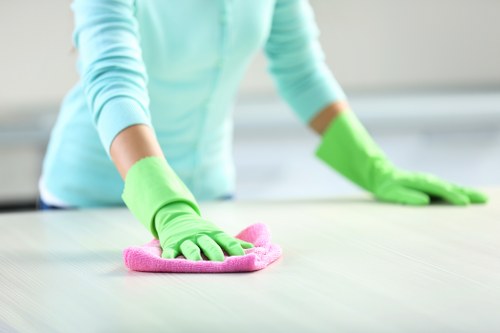 Flexible cleaning service for SE19 flats and family homes