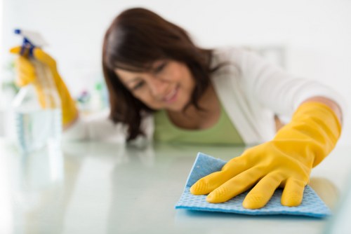 Detailed bathroom cleaning for SE19 tenancy handover