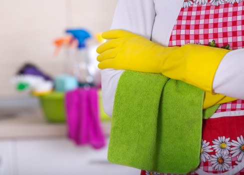 Professional cleaning service for customers in the SE19 area