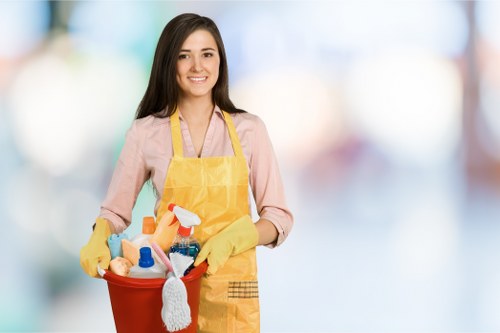 Cleaning support for flats, houses, and commercial spaces in SE19