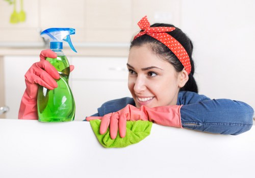 Experienced SE19 carpet cleaner providing quality maintenance