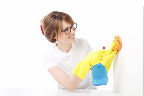 Reviewing carpet cleaning issue details and service records after a complaint