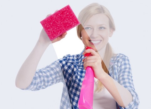 Professional domestic and office cleaning services in SE19