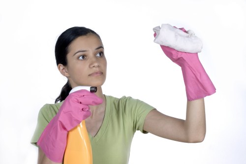 Professional cleaners maintaining an office kitchen and reception area in SE19