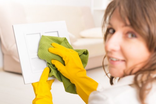 Support request for accessibility assistance on a SE19 carpet cleaning site