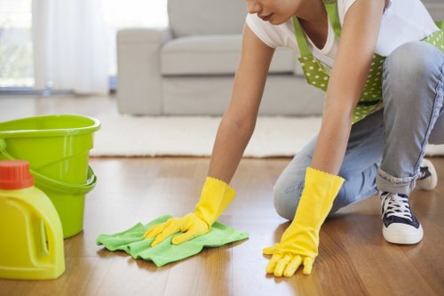 Professional deep clean for SE19 properties with detailed room-by-room cleaning